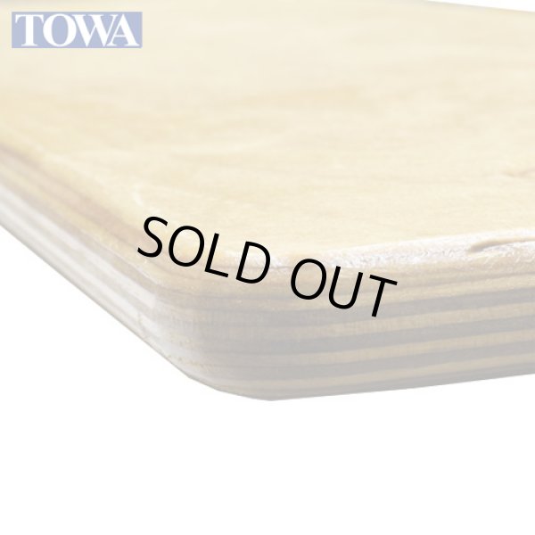 画像3: TOWAブランコ　エアーワーカー (3)